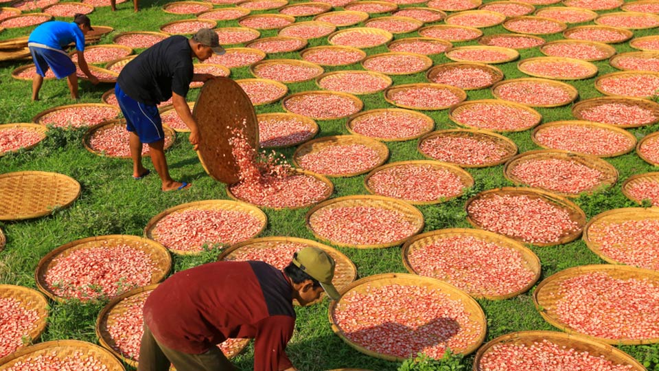 menjemur kerupuk