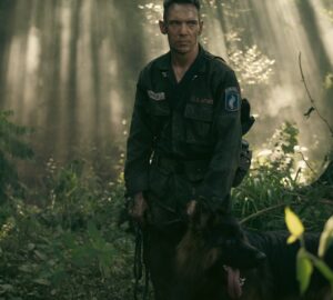 ambush dengan anjing